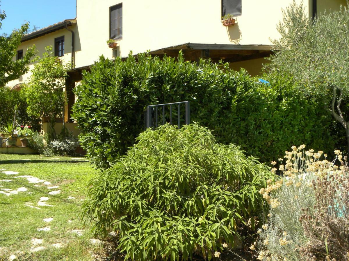 Casa Di Campagna Maglianello Barberino Val d'Elsa Ngoại thất bức ảnh